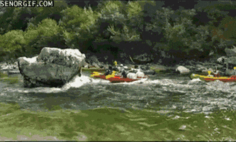 canoes gifs - find & share on giphy