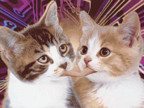 giphy.gif