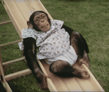 Sliding monkey gif