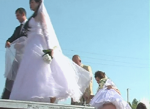 Wedding Gifs Find Share On Giphy