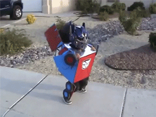 Gif of a kid with a Transformers costume transforming into a car.