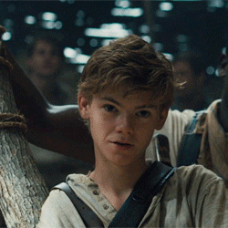 Thomas Sangster GIF - Find & Share on GIPHY