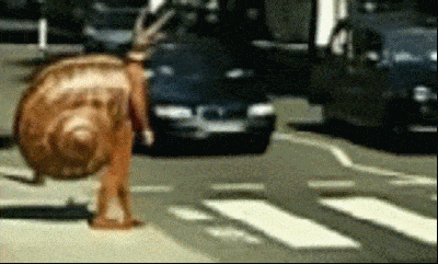cross the road jokes: man dressed in a snail costume is crossing a road