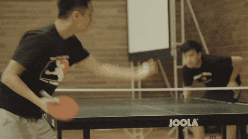 Table Tennis GIF