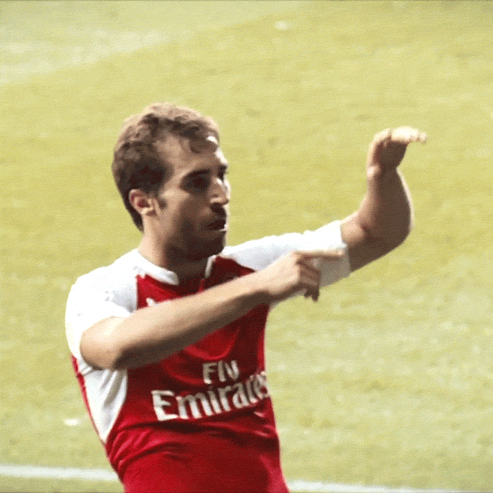 Arsenal Fc GIF Find & Share on GIPHY