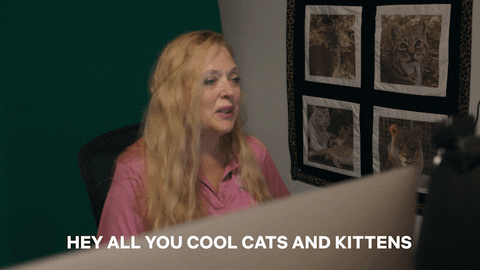 Big Cat Kittens GIF by NETFLIX - Find & Share on GIPHY