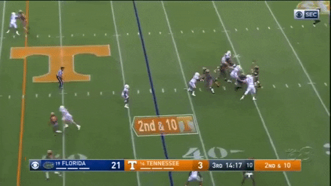 Tennessee GIF