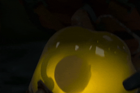 giphy.gif