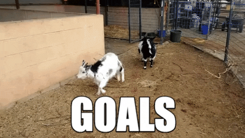 Goat jumping on wooden post