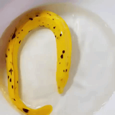Swimming banana in animals gifs
