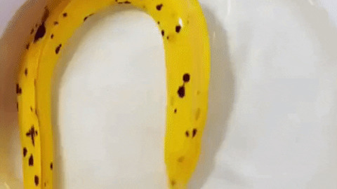Swimming banana