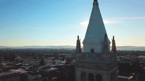 Uc Berkeley GIF by Cal - Find & Share on GIPHY