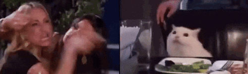 GIF: Housewives yelling at Smudge the cat (meme)