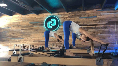ENTITY Yoga vs. Pilates Reformer