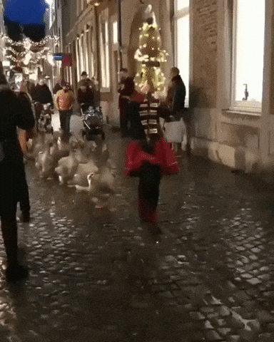 Best parade in history in funny gifs