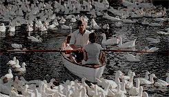 The good & bad of a summer fling