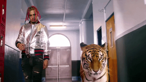 Gucci Gang GIF by Lil Pump - Find & Share on GIPHY