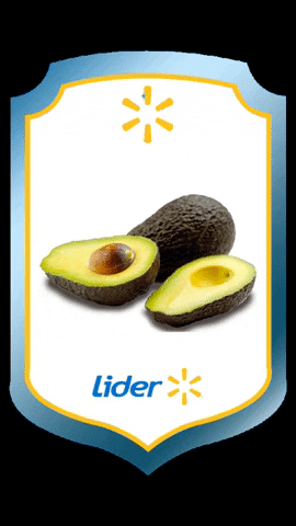 Lider Chile GIF