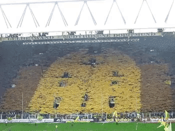 Awesome display by fans in sports gifs