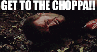 giphy.gif