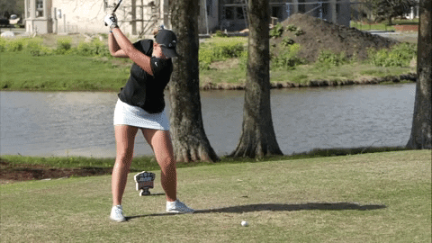 Golf Wave GIF by GreenWave Find Share on GIPHY