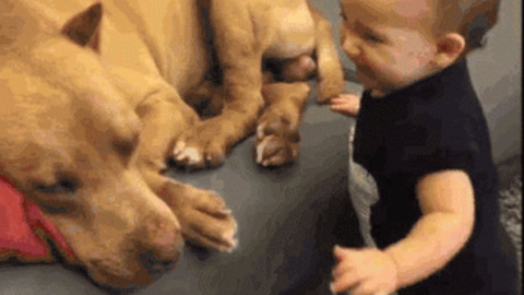 Loads Of Cuteness best Gif