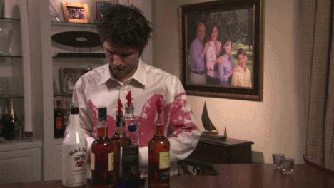 alcohol adam scott hangover party down its a good show