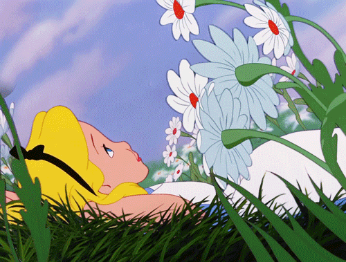 Alice In Wonderland Flowers GIF - Find & Share on GIPHY
