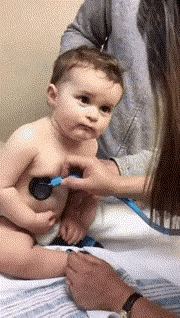 Cutest thing you see today in funny gifs