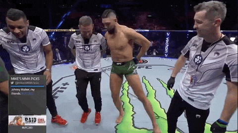 giphy.gif