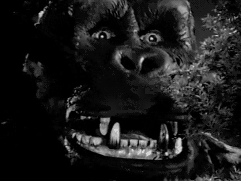 King Kong GIF - Find & Share on GIPHY
