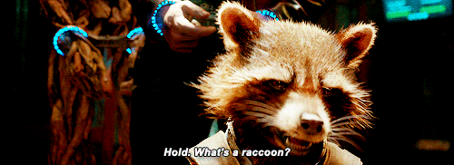 Rocket Raccoon Gif 2