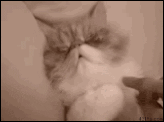 http://giphy.com/gifs/monday-mondays-tomorrow-RWm5ySFGZZc3K via GIPHY Katso kuva