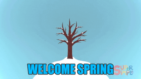 Spring Seasons GIF by Super Simple