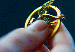 The Hunger Games Catching Fire animated GIF