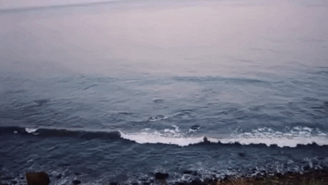 Waste My Time GIF by Spencer Barnett - Find & Share on GIPHY