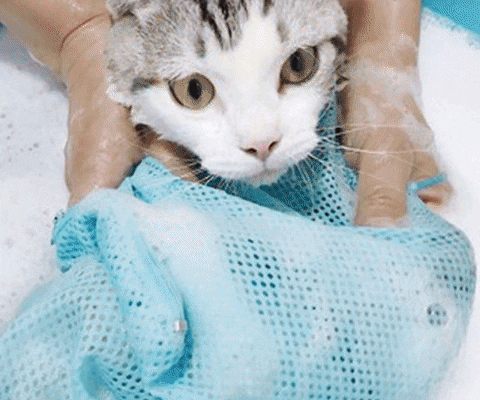 Cat Bath Bag