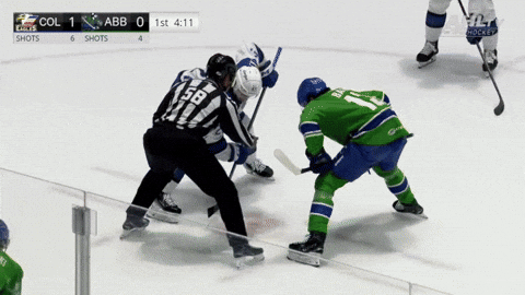 giphy.gif