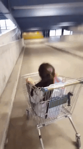 Stupid people are fun for others in fail gifs