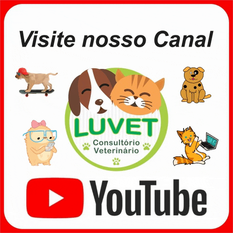 Visite nosso canal no youtube: @luvetconsultorioveterinario