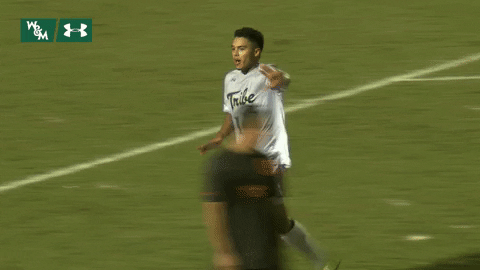 William & Mary Tribe Athletics GIF