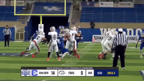 giphy.gif