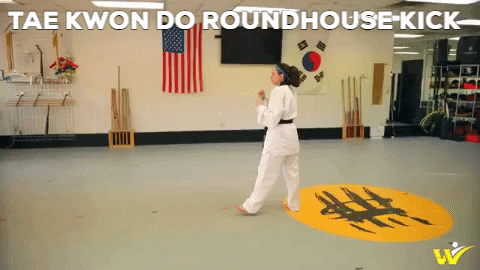 tae kwon do roundhouse kick gif