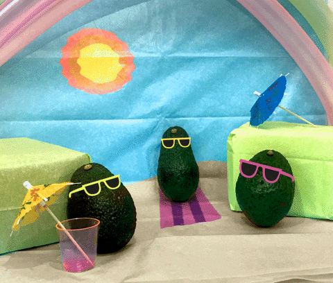 3 avocados chilling at the beach
Happy Fun GIF By Bare Tree Media
