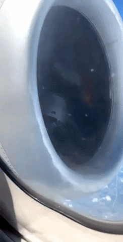 What you dont want to see from window seat in a plane in wtf gifs