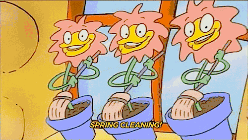 spring cleaning rocko