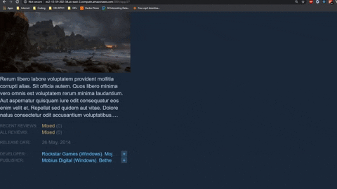 Steam Game Description GIF Demo