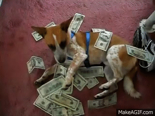perrito tirado en el suelo rodeado de muchos billetes