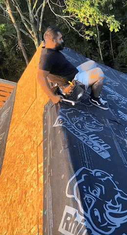 giphy.gif