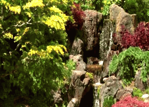Garden GIF - Find & Share on GIPHY